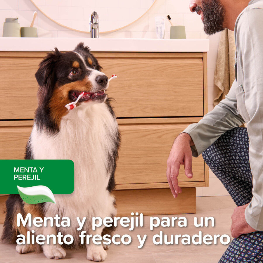Beaphar Pasta Dental  Menta  Perejil para Perros y Gatos thumbnail
