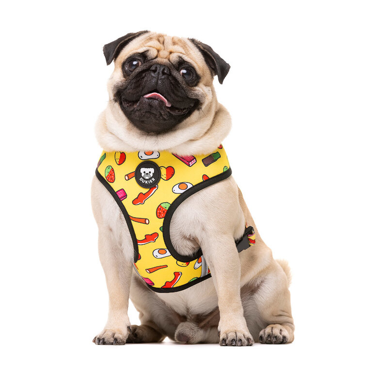 Dukier Sweets Arnés reversible para perros,  Imagen numero 2 Dukier Sweets Arnés reversible para perros, , large Imagen numero 2
