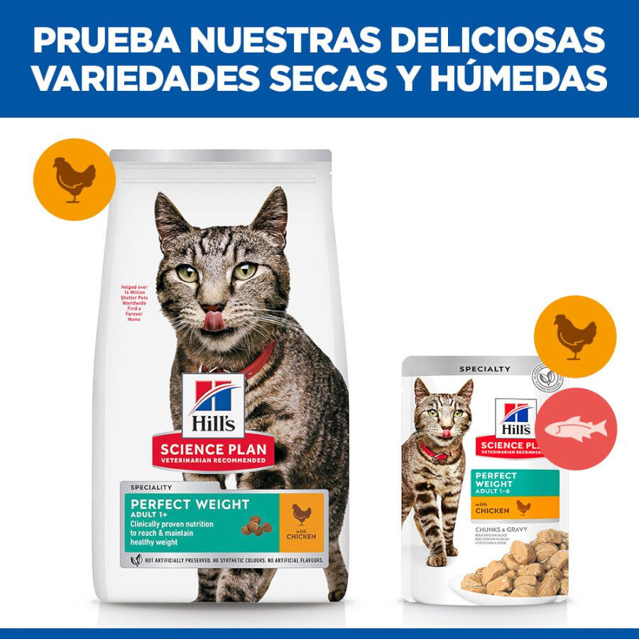 Hill&#039;s Science Plan Perfect Weight Adult pollo pienso para gatos thumbnail