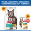 7 kg Hill's Science Plan Perfect Weight Adult pollo pienso para gatos, , large indicador imagen numero 7