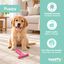 Tootoy! Puppy Hueso Martillo Rosa Juguete para perros, , large indicador imagen numero 4