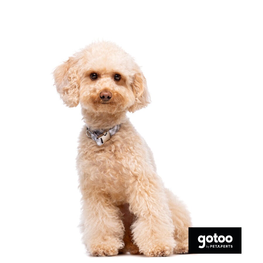 Gotoo Collar estampado cuadro vichy gris para perros thumbnail