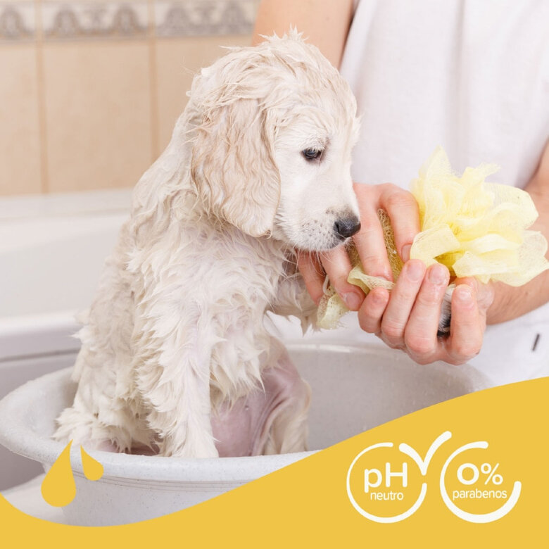 Beaphar Extra Soft Champú para cachorros, , large image number null
