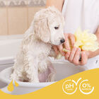 Beaphar Extra Soft Champú para cachorros, , large image number null