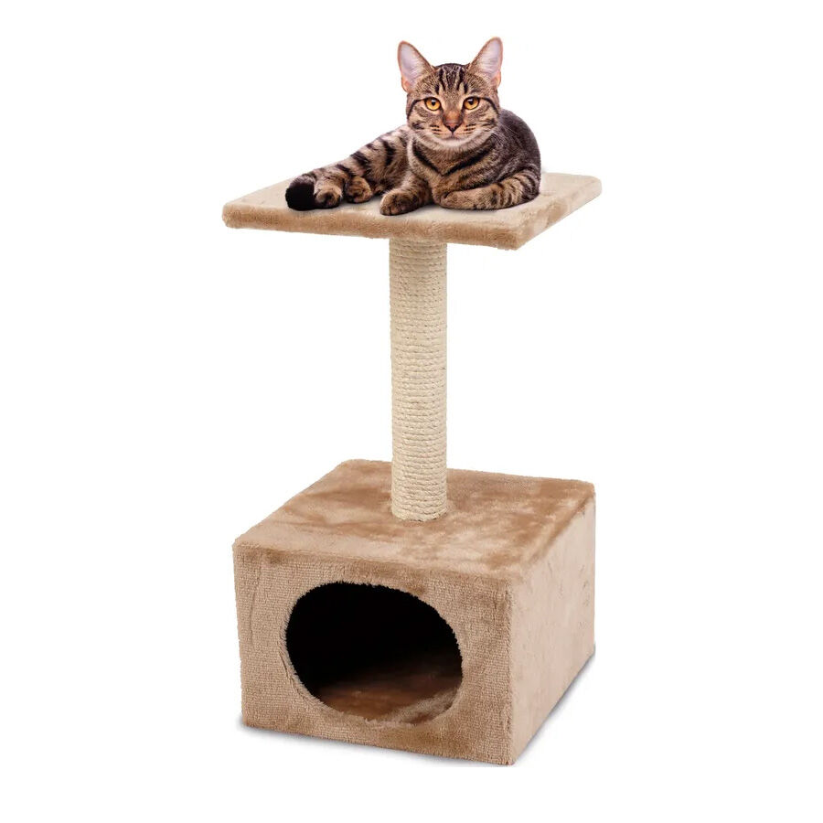 Rbol para gatos kiwoko best sale