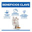 7 kg Hill's Science Plan Adult Hypoallergenic Huevo e Insecto pienso para gatos, , large indicador imagen numero 3