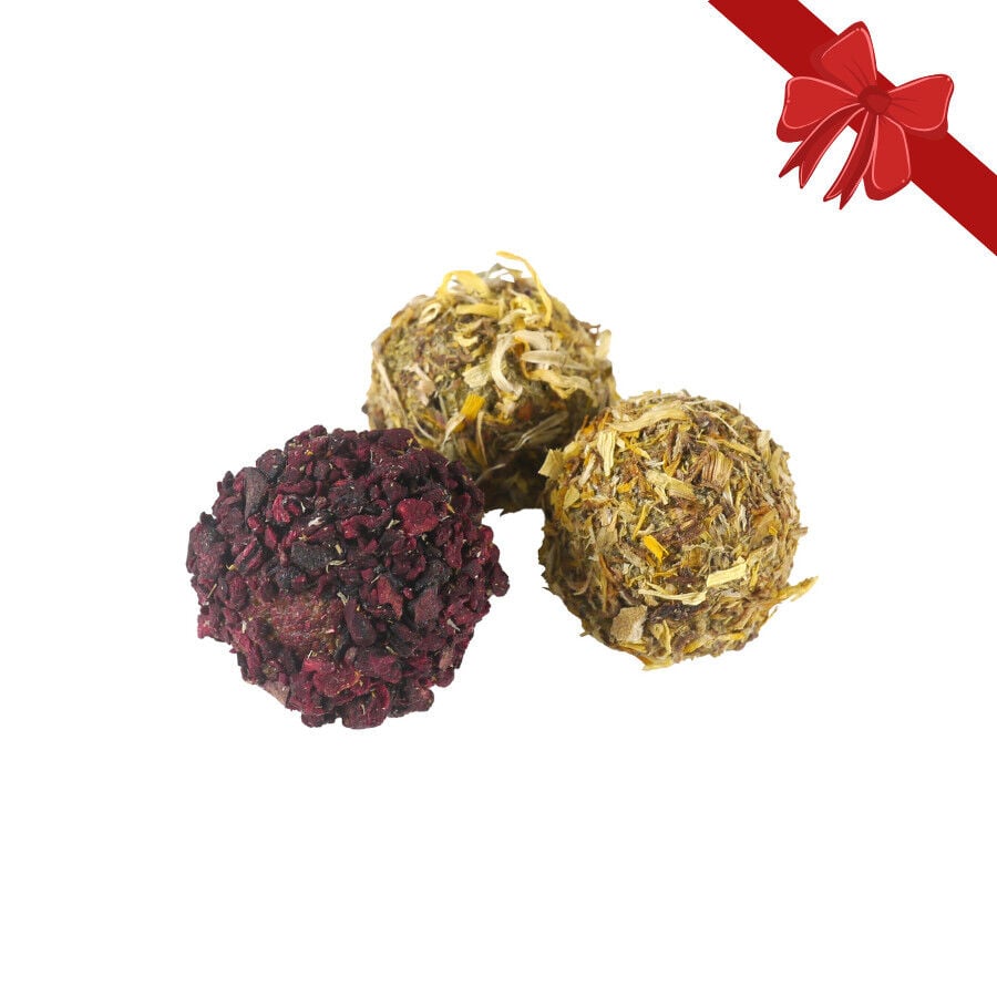 Rosewood Bolitas de Snacks Navide&ntilde;os para Roedores, , large Imagen numero 1