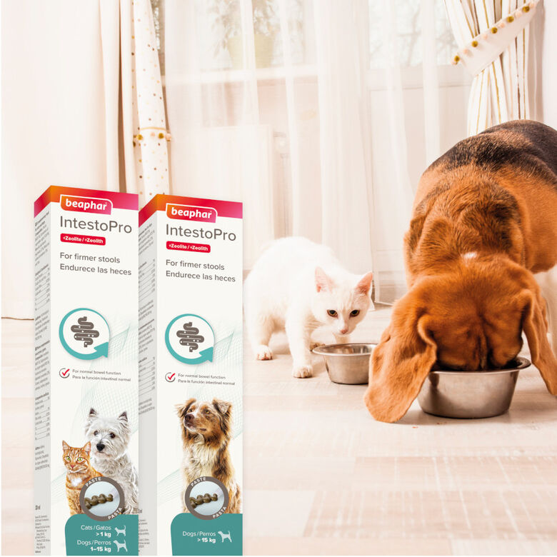 Beaphar IntestoPro Regulador Intestinal en Pasta para cachorros y gatos thumbnail