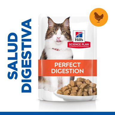 Hill's Science Plan Adult Perfect Digestion Pollo comida húmeda para gatos