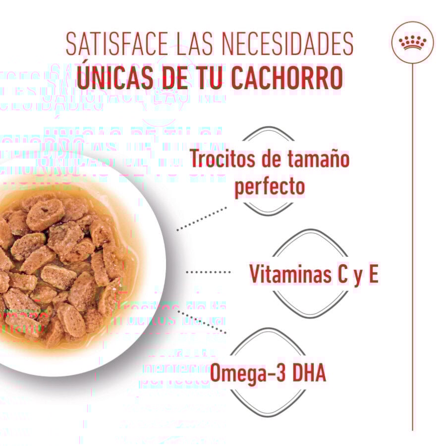 Royal Canin Mini Puppy sobre en salsa thumbnail