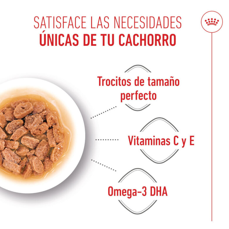 Royal Canin Mini Puppy sobre en salsa thumbnail