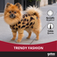 Gotoo Jersey Punto Estampado Leopardo para perros, , large indicador imagen numero 6