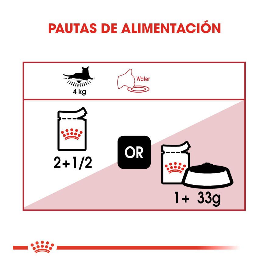 Royal Canin Instinctive gelatina sobres para gatos thumbnail