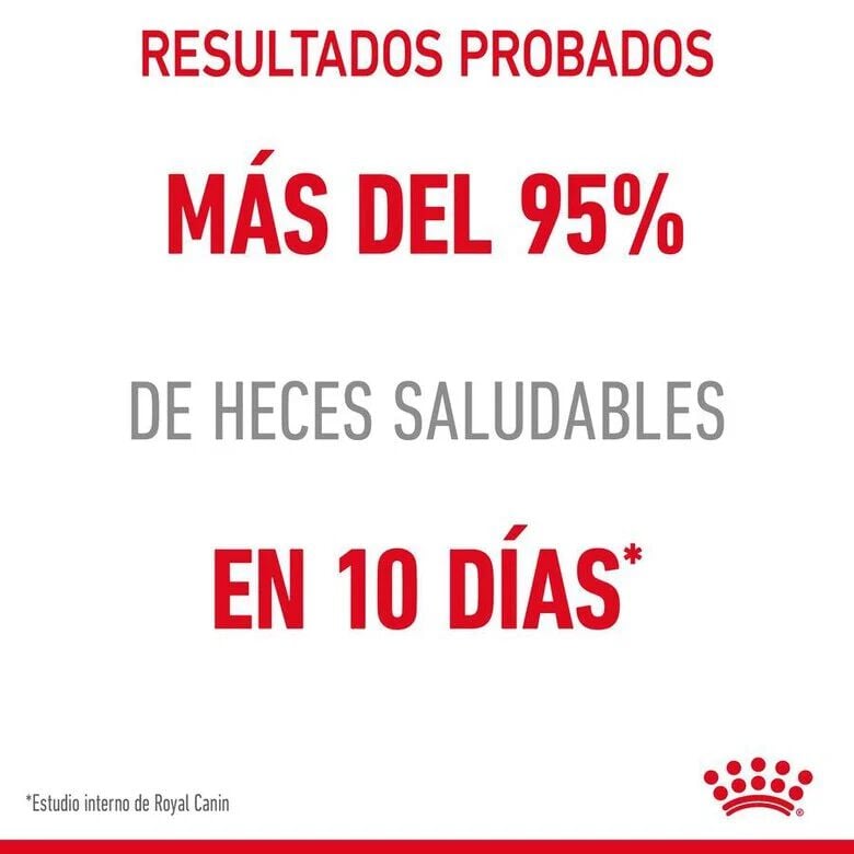 Royal Canin Digestive Sensitive sobre para gatos thumbnail