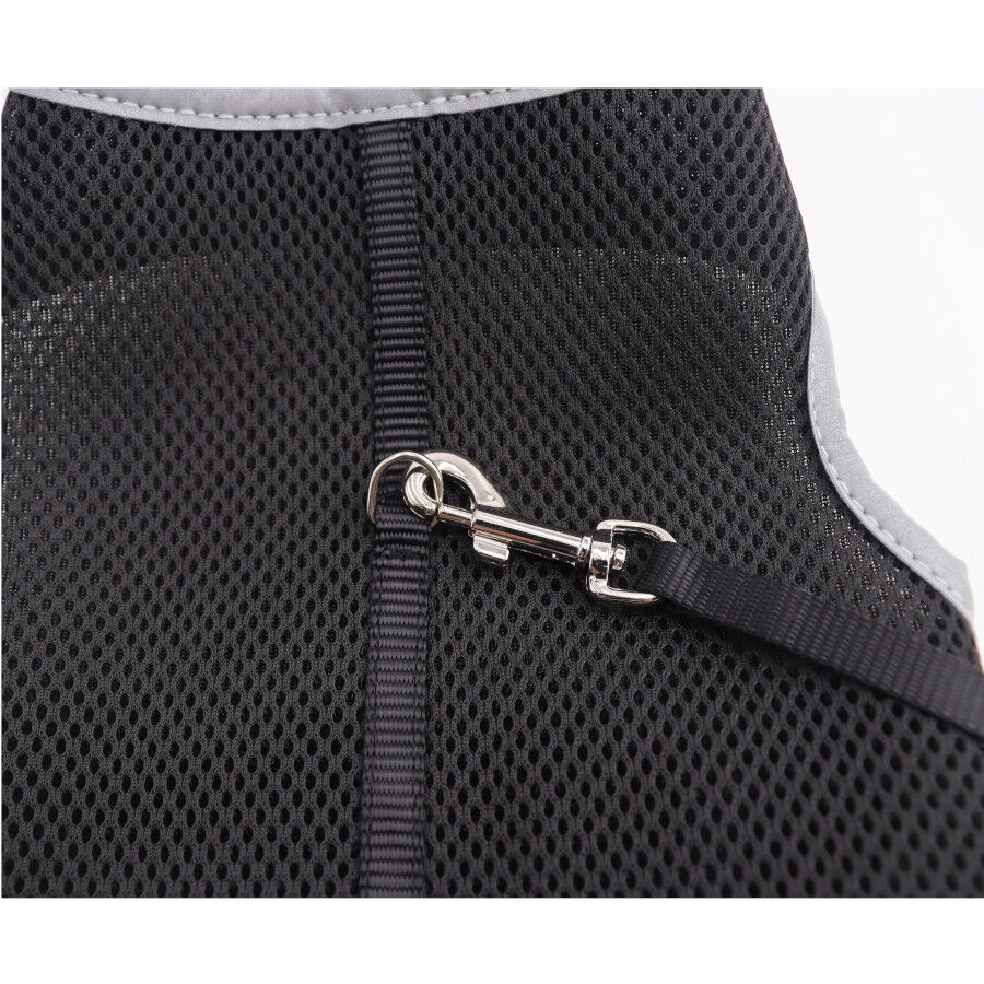 Gotoo Correa y Arnés antiescape para gatos thumbnail