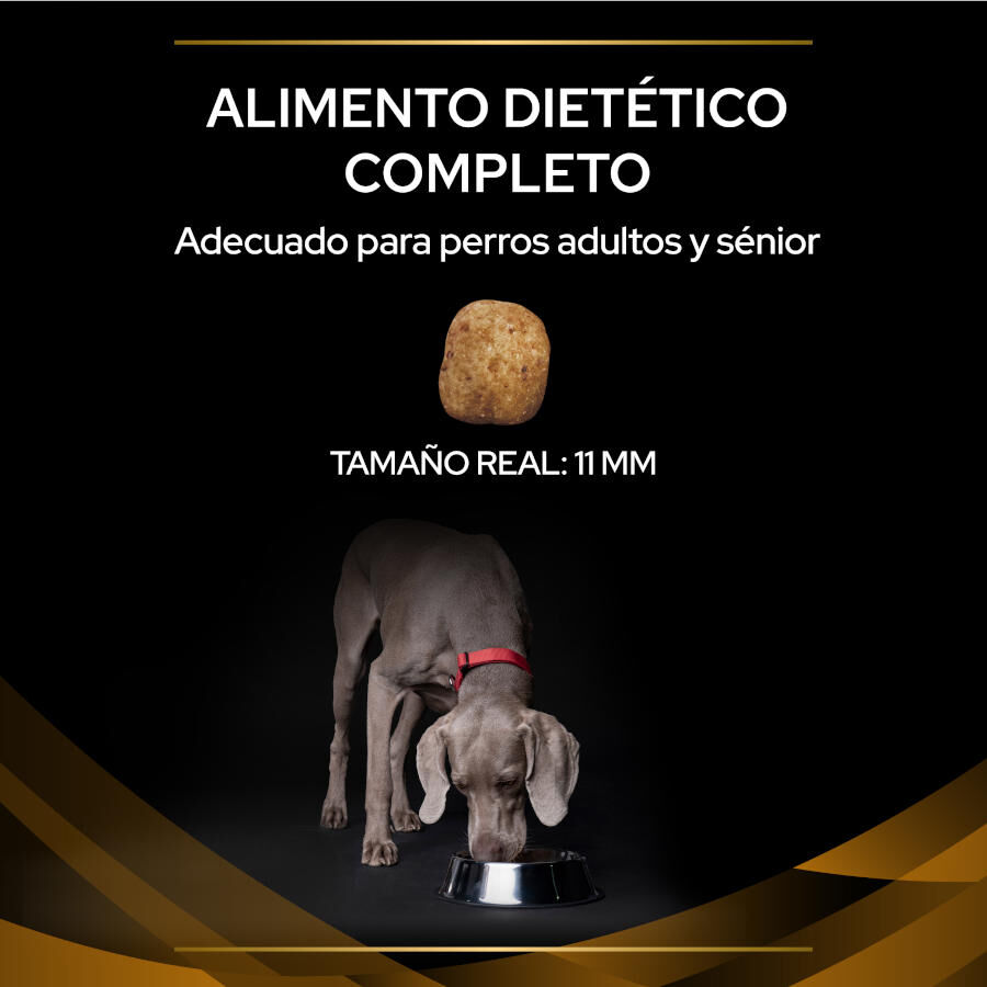 Pro Plan Veterinary Diets Renal pienso para perros thumbnail