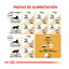 10 kg Royal Canin Adult Sphynx pienso para gatos, , large indicador imagen numero 8