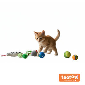 Tootoy! Caja de Juguetes Variados para gatos