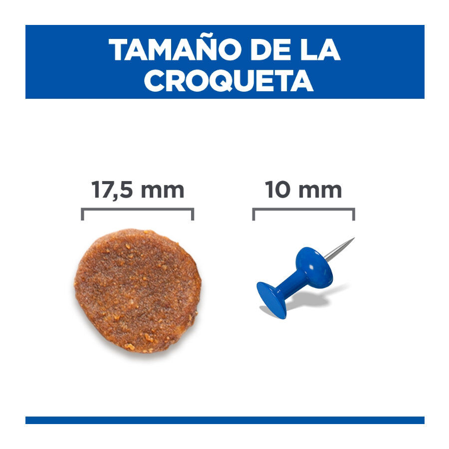 12 kg Hill's Science Plan Perfect Weight Adult Large Pollo pienso para perros, , large Imagen numero 4