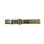 Gotoo Collar estampado floral para perros, , large indicador imagen numero 1