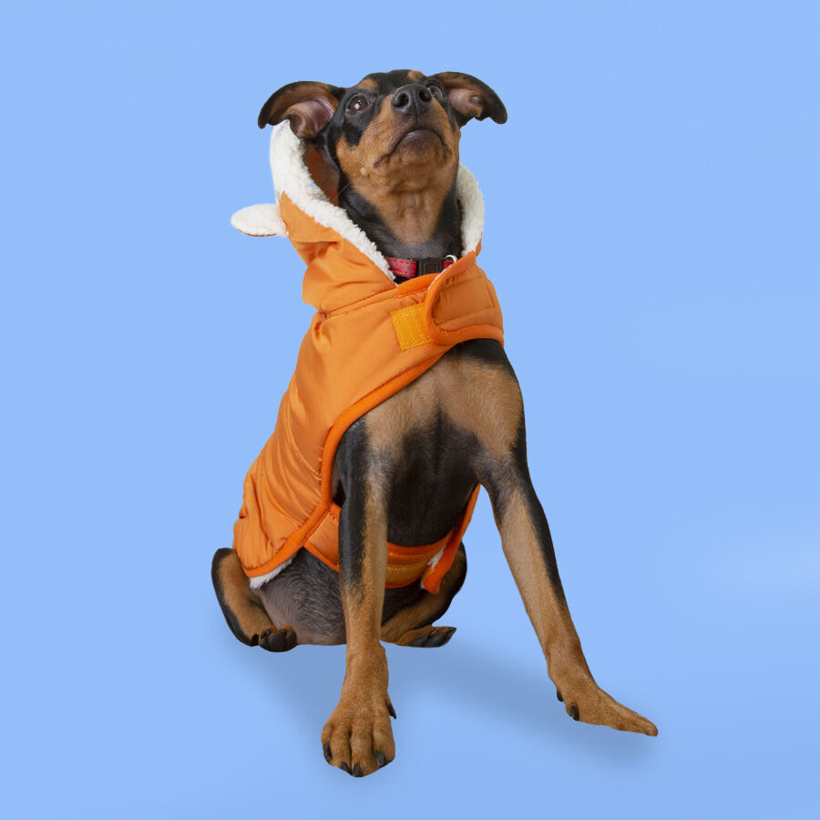 Outech Fox Abrigo para perros, , large Imagen numero 3