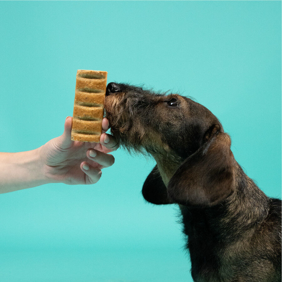 1 barrita Edgard & Cooper Barritas de Pollo snack para perros, , large Imagen numero 3