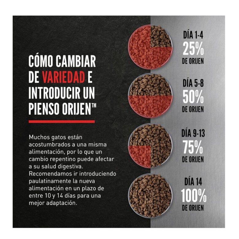 1.8 kg Orijen Kitten Pollo con Pavo y Salmón pienso para gatitos,  Imagen numero 5 1.8 kg Orijen Kitten Pollo con Pavo y Salmón pienso para gatitos, , large Imagen numero 5