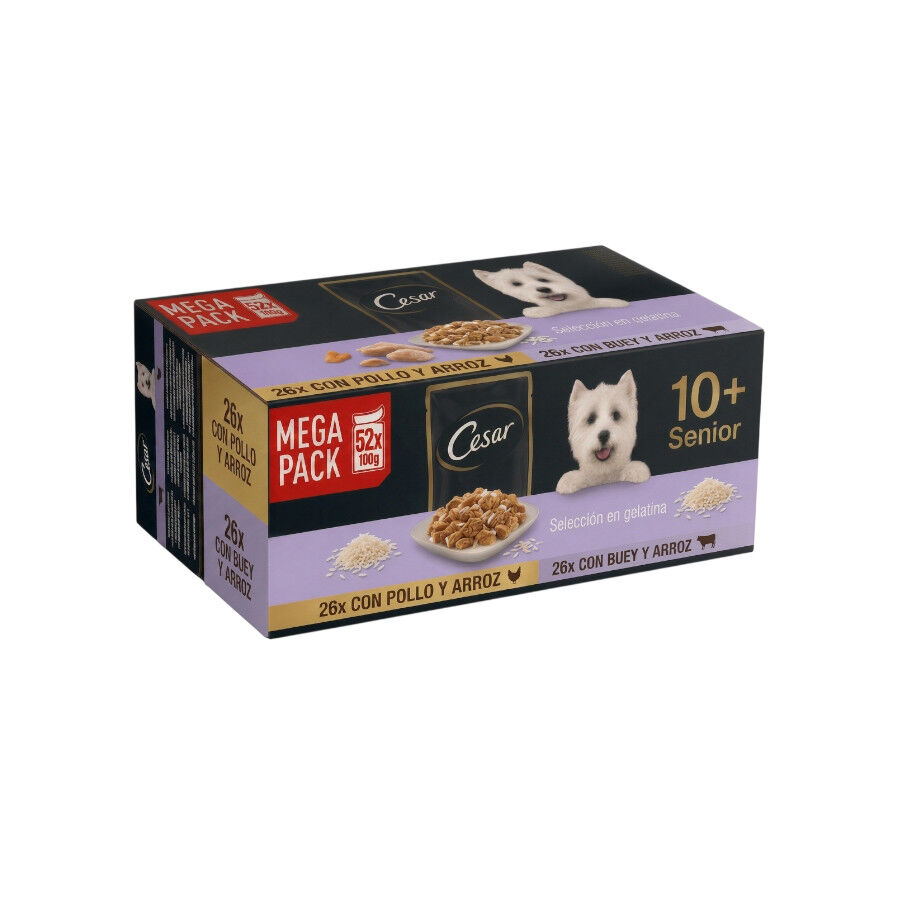 52 sobres x 100 g Cesar Senior 10+ Selecci&oacute;n en Gelatina sobres para perros - Multipack, , large Imagen numero 1