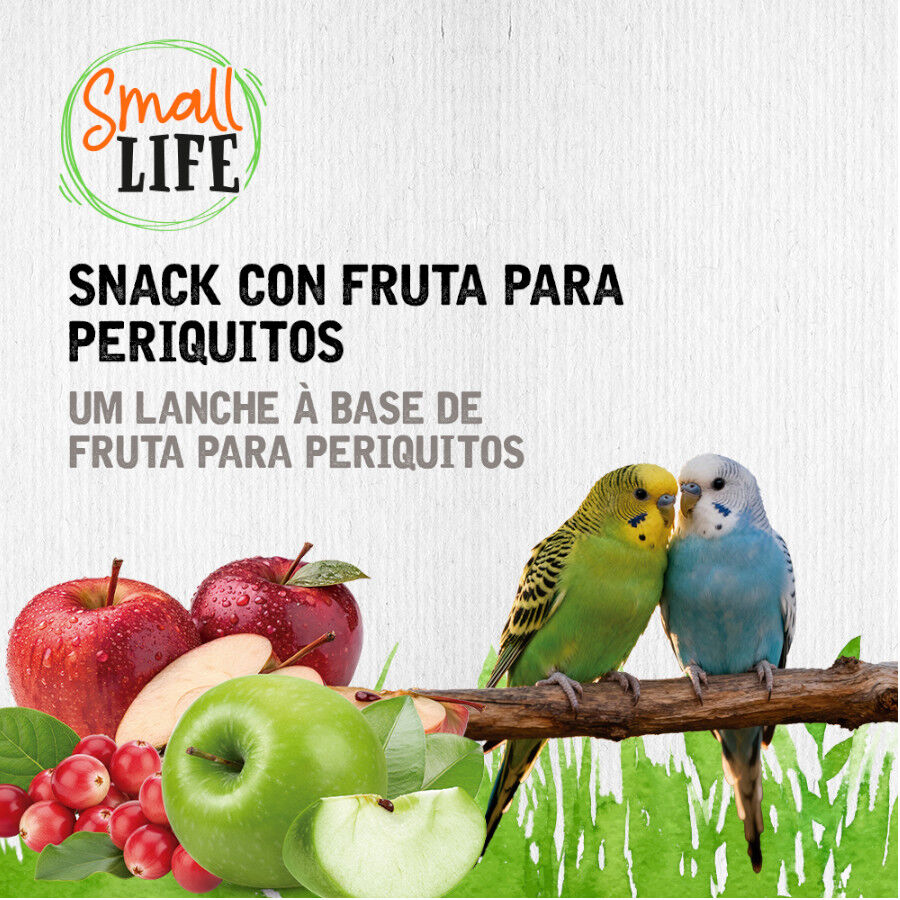 2 barritas Small Life Barritas Snack con Fruta para periquitos, , large Imagen numero 4