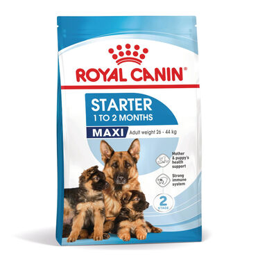 Royal Canin Starter MotheryBaby Maxi pienso para perros