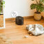Cecotec Pumba 2500 Refresh Smart Fuente Bebedero Automático para gatos, , large indicador imagen numero 7
