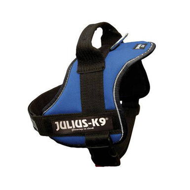 Julius K9 Arnés Azul para perros