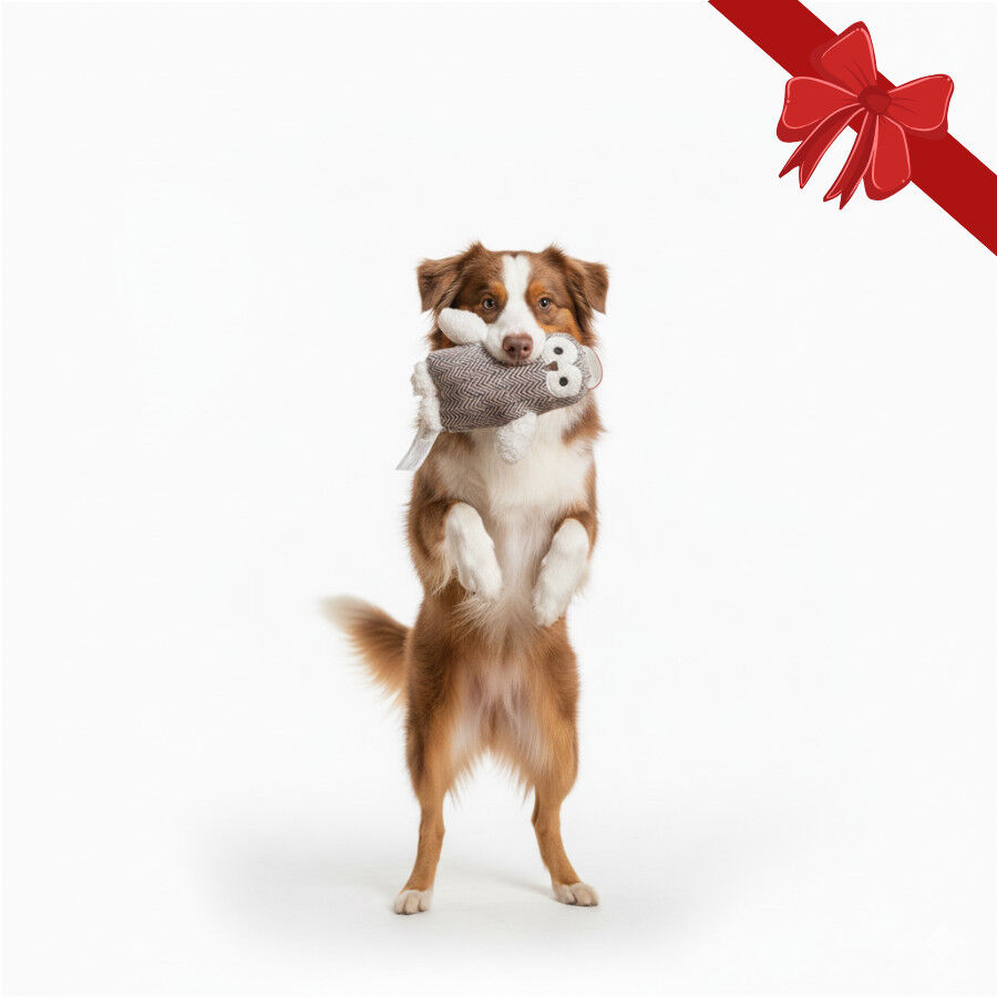 Wonder Christmas Peluche Búho Navideño para perros