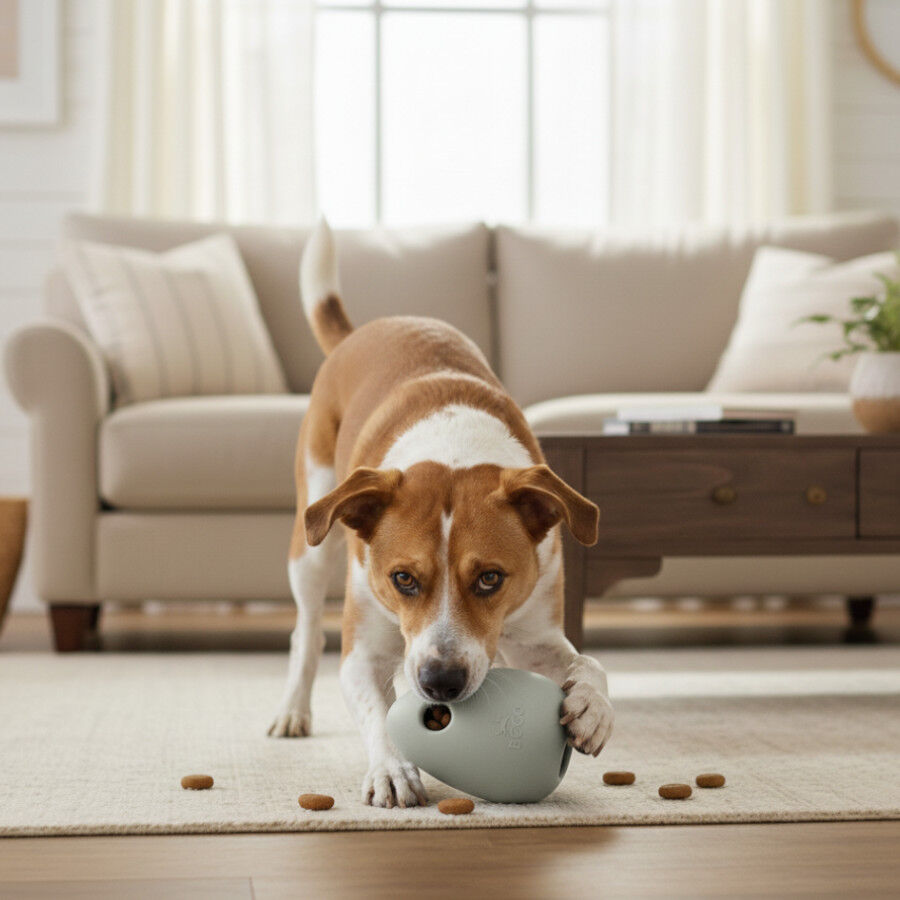 BECO Portagolosinas de Goma Verde para perros, , large Imagen numero 1