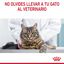 85 g Royal Canin Hair and Skin sobre en salsa para gatos, , large indicador imagen numero 13