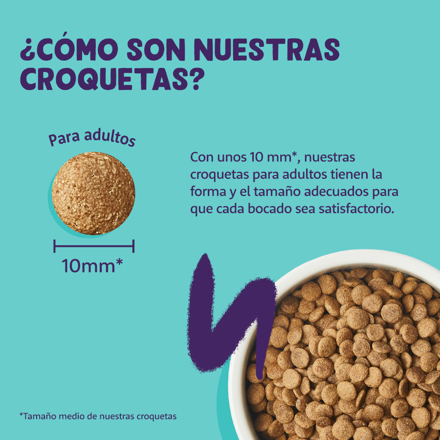 Edgard &amp; Cooper Adult Pollo pienso para gatos thumbnail