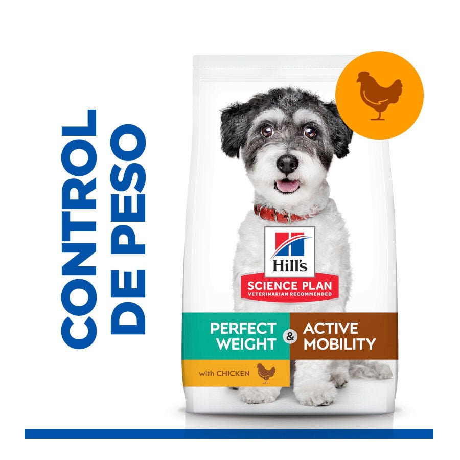 6 kg Hill's Science Plan Perfect Weight y Active Mobility Small y Mini Pollo pienso para perros, , large Imagen numero 2