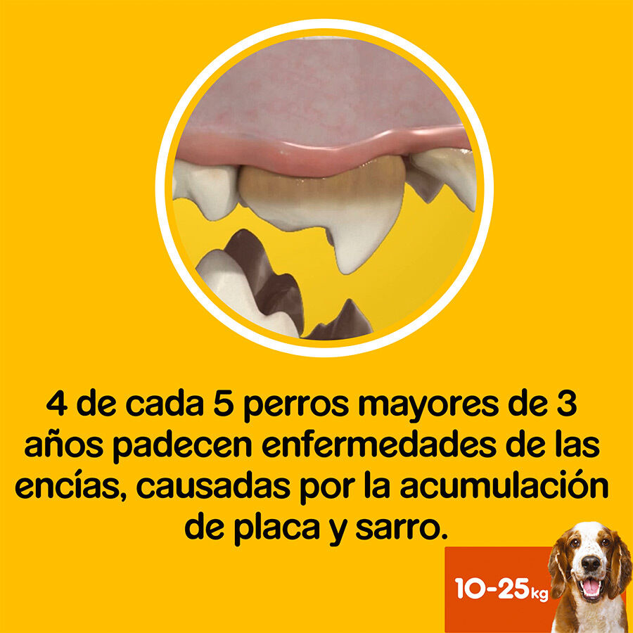 Pedigree Dentastix Fresh Snacks Dentales para Perros Medianos thumbnail