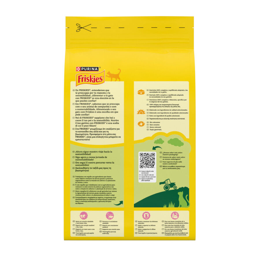 1.5 kg Friskies Junior pienso para gatos , , large Imagen numero 8