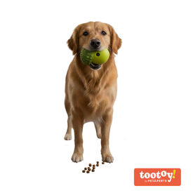 Tootoy! Juguete Portagolosinas Bellota Verde para perros