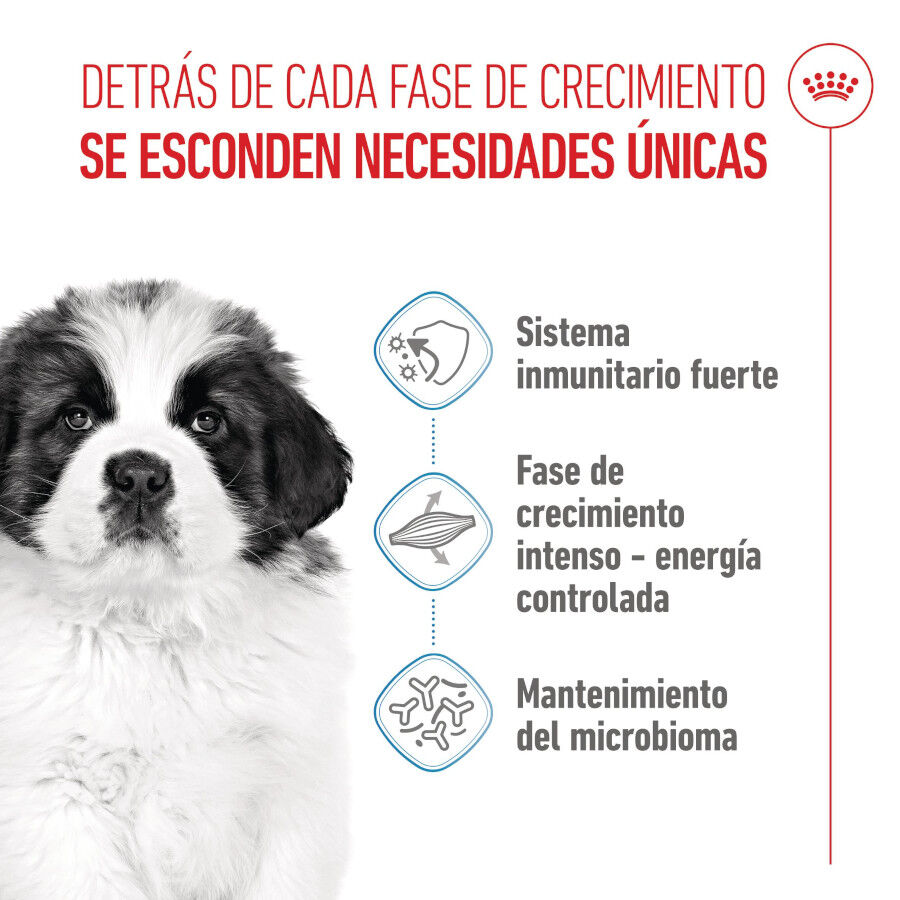 Royal Canin Puppy Giant pienso para perros thumbnail