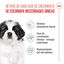 15 kg Royal Canin Puppy Giant pienso para perros, , large indicador imagen numero 3