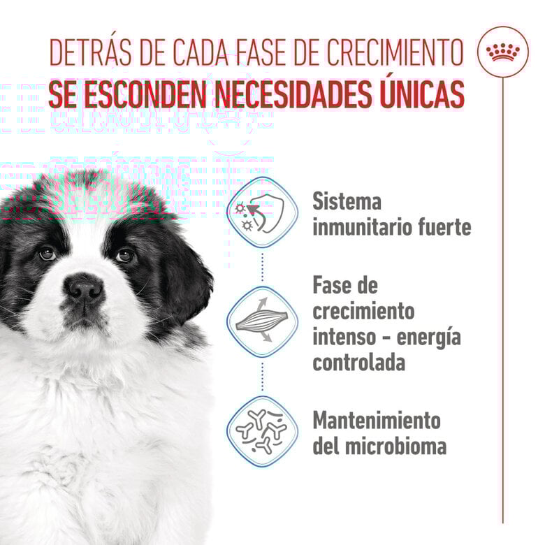 15 kg Royal Canin Puppy Giant pienso para perros,  Imagen numero 3 15 kg Royal Canin Puppy Giant pienso para perros, , large Imagen numero 3