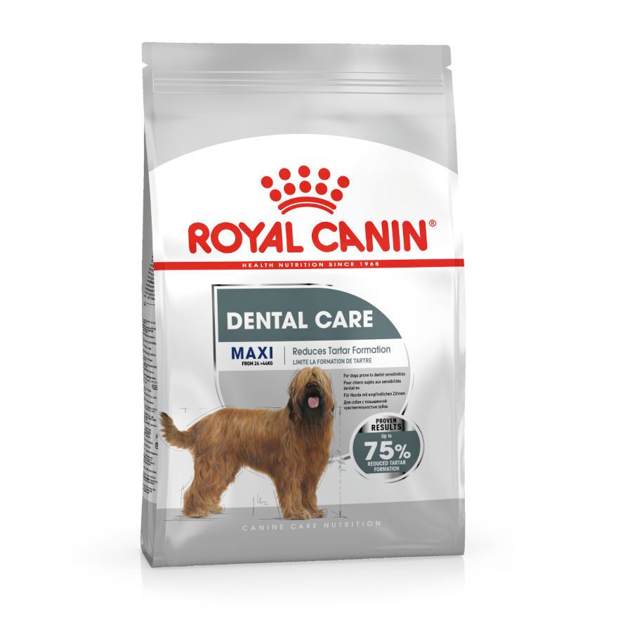 9 kg Royal Canin Dental Care Maxi pienso para perros, , large Imagen numero 1