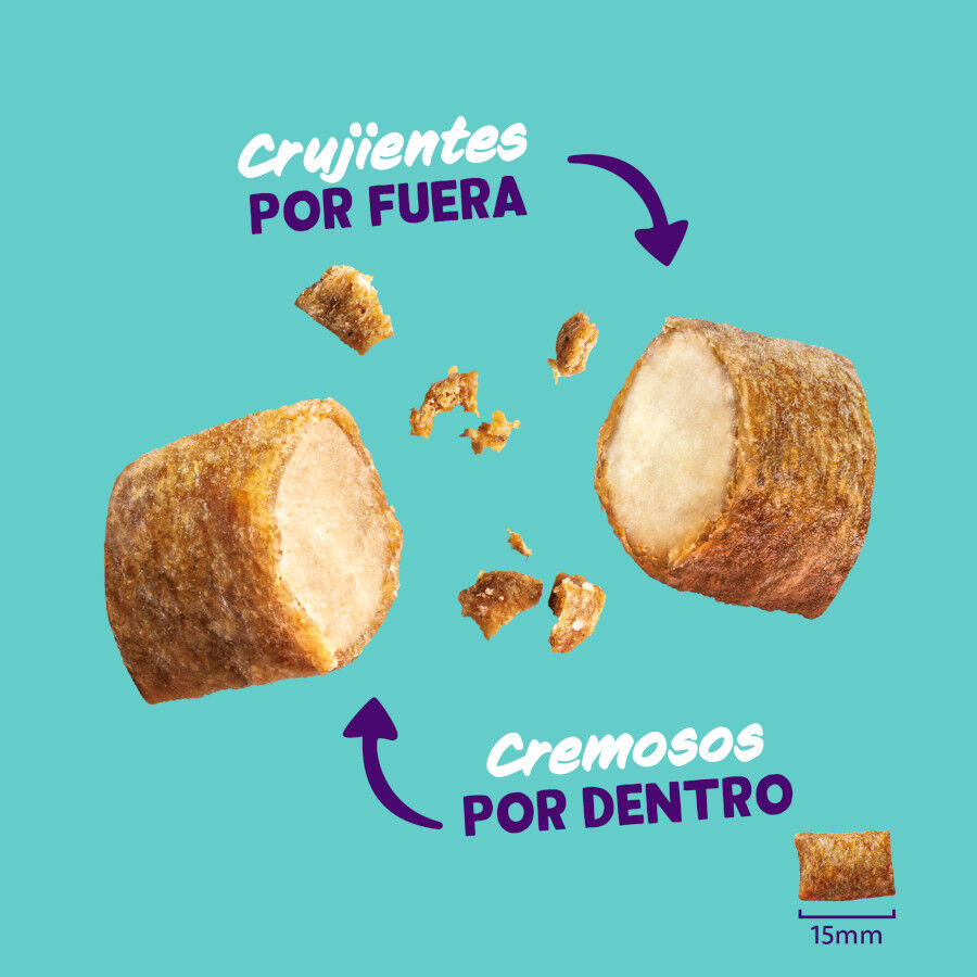 Edgard &amp; Cooper Bocaditos Pillows de salmon para gatos thumbnail