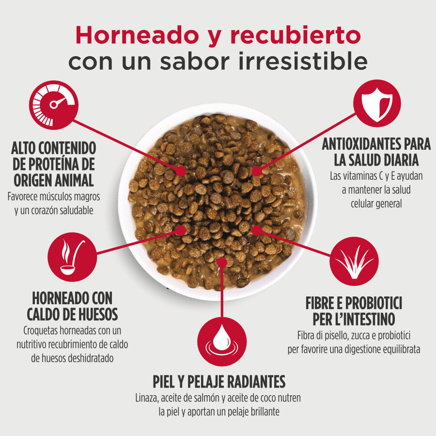 4 kg Nulo Baked & Coated Pienso Pollo Pavo y Pescado para gatos, , large Imagen numero 4