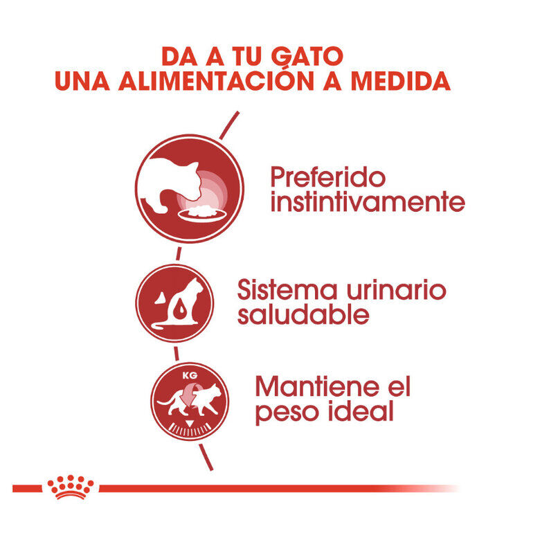 Royal Canin Instinctive paté sobre para gatos thumbnail