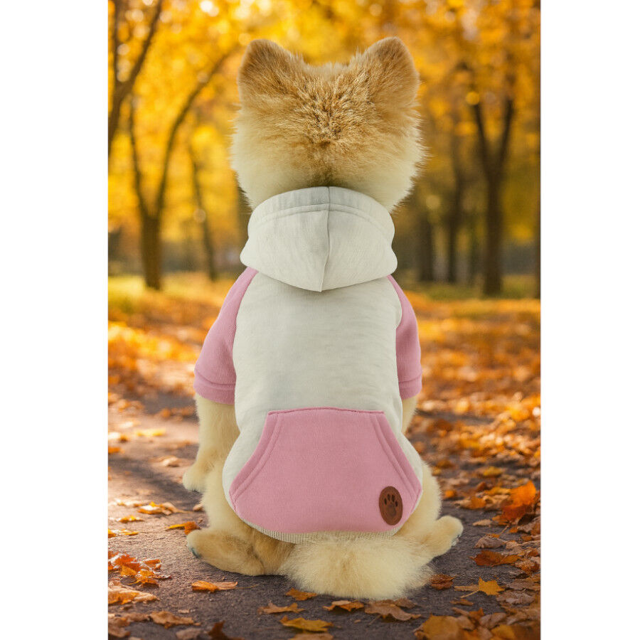 Outech Sudadera con Capucha Rosa para perros thumbnail