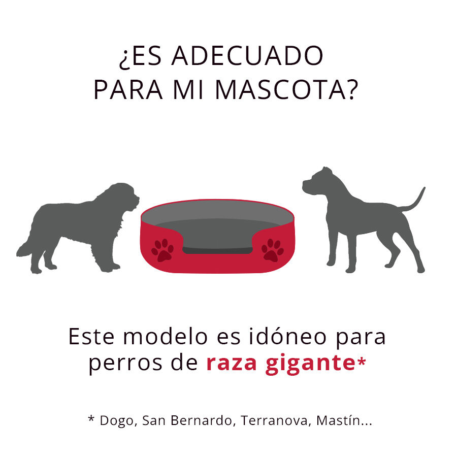 Ombala Cama Ortop&eacute;dica Burdeos para perros, , large Imagen numero 2