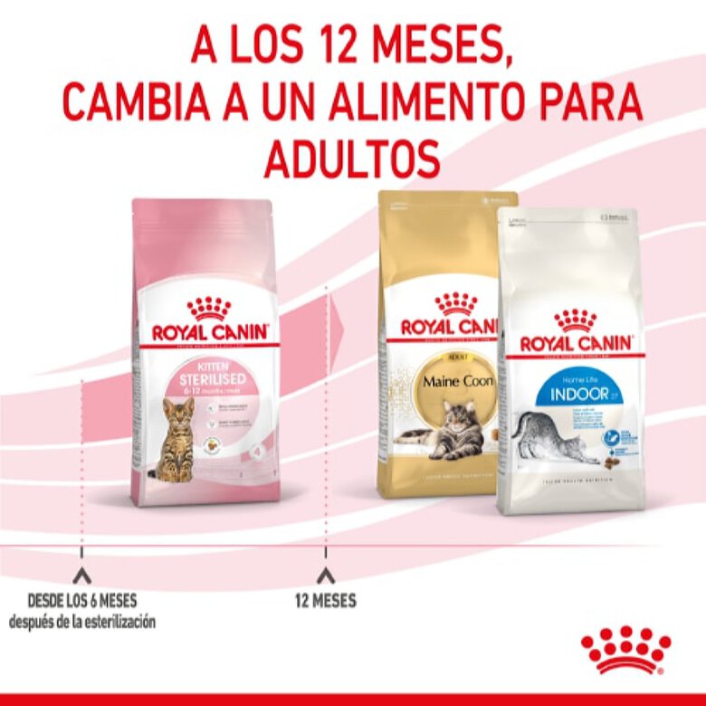 Royal Canin Kitten Sterilised pienso para gatos, , large image number null